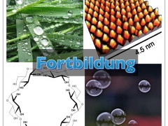 Fortbildungsveranstaltung des VCBG