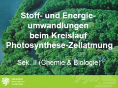 Stoff- und Energieumwandlungen